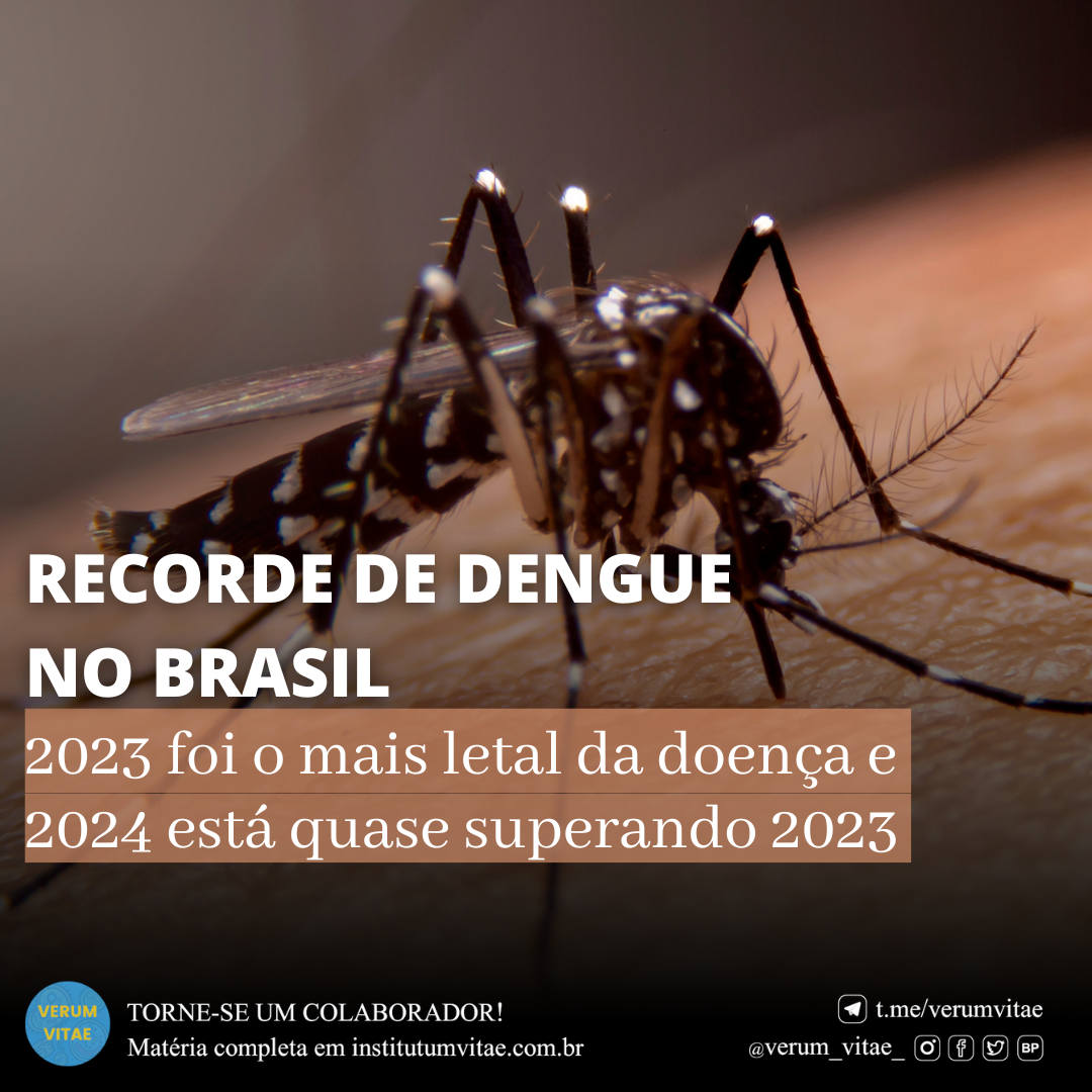 RECORDE DE DENGUE NO BRASIL