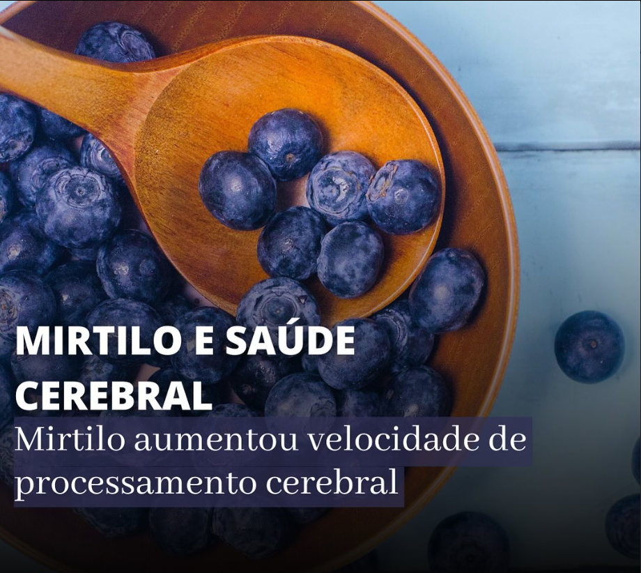 MIRTILO E SAÚDE CEREBRAL